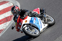 brands-hatch-photographs;brands-no-limits-trackday;cadwell-trackday-photographs;enduro-digital-images;event-digital-images;eventdigitalimages;no-limits-trackdays;peter-wileman-photography;racing-digital-images;trackday-digital-images;trackday-photos